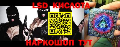 прущие грибы Мариинск