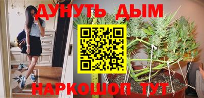 прущие грибы Мариинск