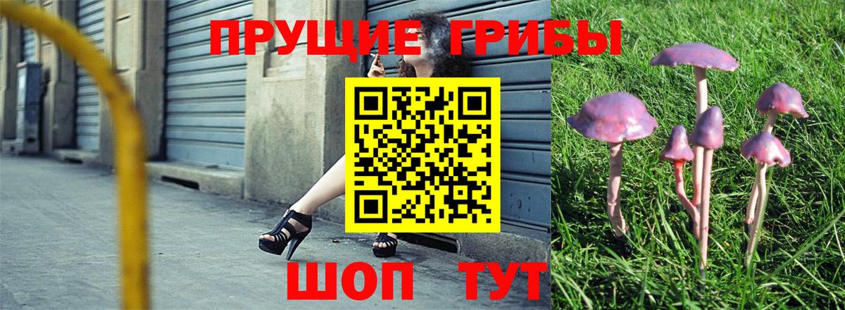 Галлюциногенные грибы мухоморы  Вход с VPN  Хабаровск  Псилоцибиновые грибы GOLDEN TEACHER 